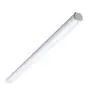 Philips LED Feuchtraumleuchte Ledinaire WT060C 46W 5600lm - 840 Kaltweiß | 150cm - 1x Durchgangsverdrahtung