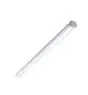 Philips LED Feuchtraumleuchte WT060C 28W 3400lm - 840 Kaltweiß | 150cm - 1x Durchgangsverdrahtung
