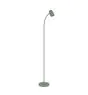 Eglo Stehlampe Carlo Stahl Grün | Geeignet für E14