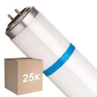 Mehrfachpackung 25x Philips TL-D MASTER Secura Actinic BL 15W - Blacklight | 44cm